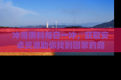 冲哥黑料每日一冲，获取安卓资源助你找到回家的路