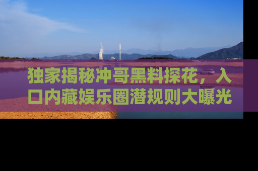 独家揭秘冲哥黑料探花，入口内藏娱乐圈潜规则大曝光