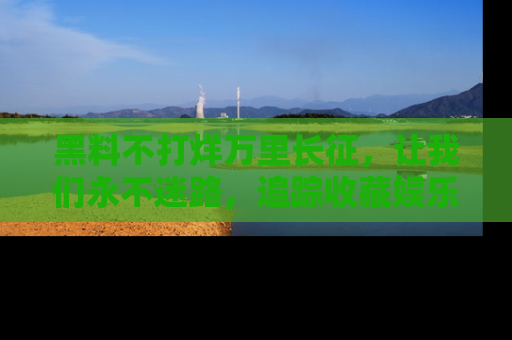 黑料不打烊万里长征，让我们永不迷路，追踪收藏娱乐爆料的乐趣！