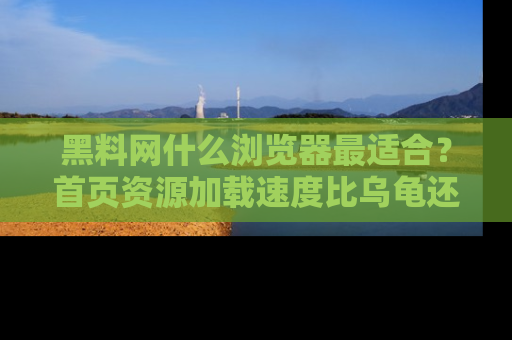 黑料网什么浏览器最适合？首页资源加载速度比乌龟还慢的体验真心吐槽！