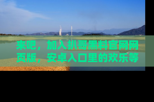 来吧，加入扒哥黑料官网网页版，安卓入口里的欢乐等着你！