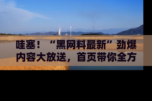 哇塞！“黑网料最新”劲爆内容大放送，首页带你全方位了解哦，小可爱们